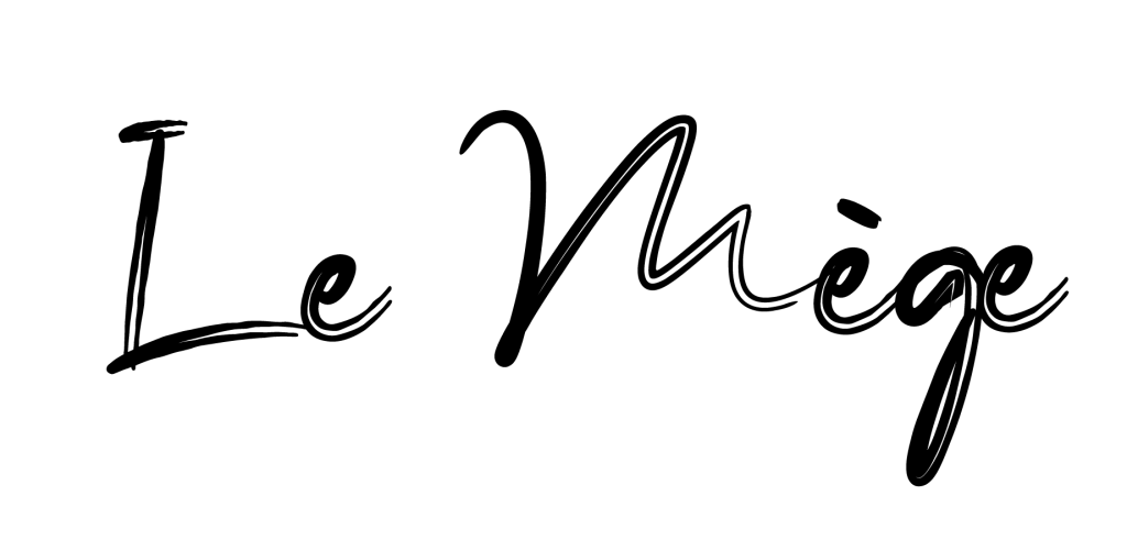 logo mege